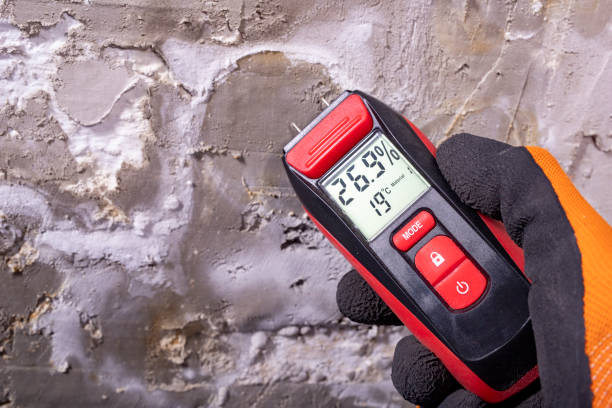 Best Certified Mold Removal  in White Sulphur Springs, MT