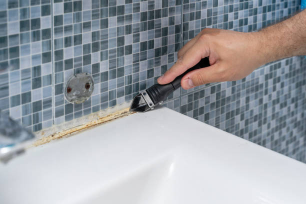Mold Removal Process in White Sulphur Springs, MT