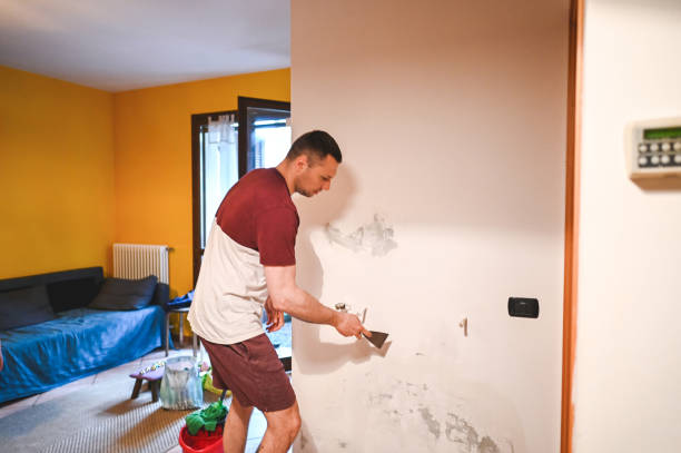 Mold Testing and Removal in White Sulphur Springs, MT